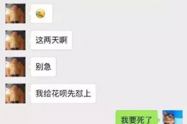 汶上债务清欠服务